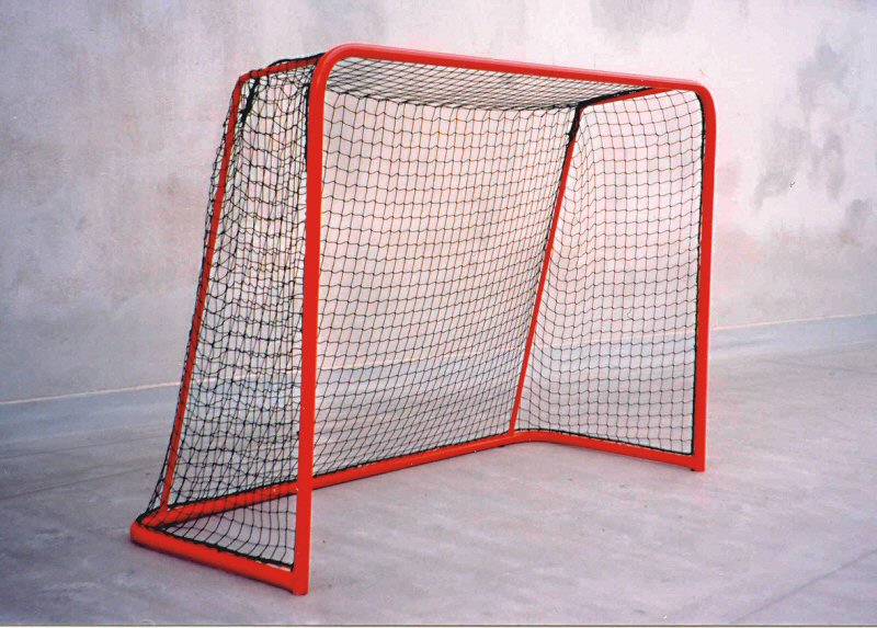 floorball02[1].jpg